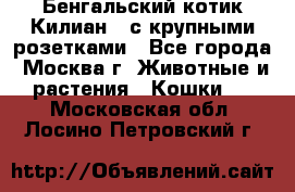 Бенгальский котик Килиан , с крупными розетками - Все города, Москва г. Животные и растения » Кошки   . Московская обл.,Лосино-Петровский г.